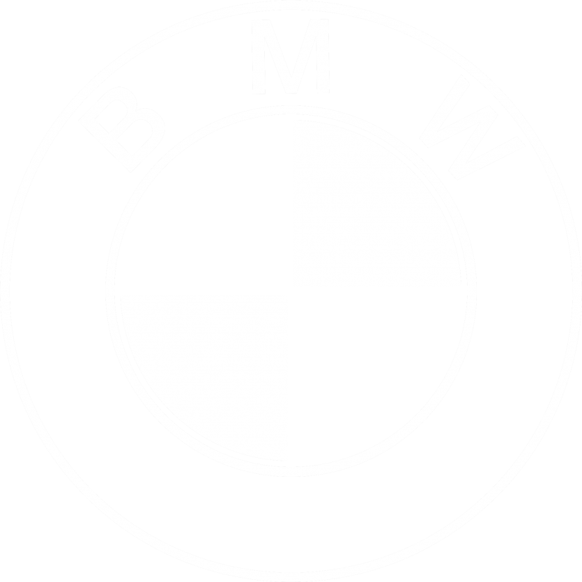 bmw logo white